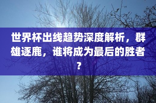 世界杯出线趋势深度解析，群雄逐鹿，谁将成为最后的胜者？
