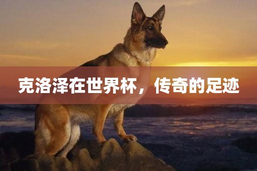 克洛泽在世界杯，传奇的足迹