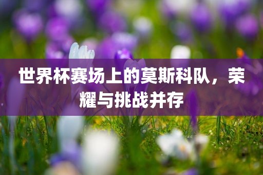 世界杯赛场上的莫斯科队，荣耀与挑战并存