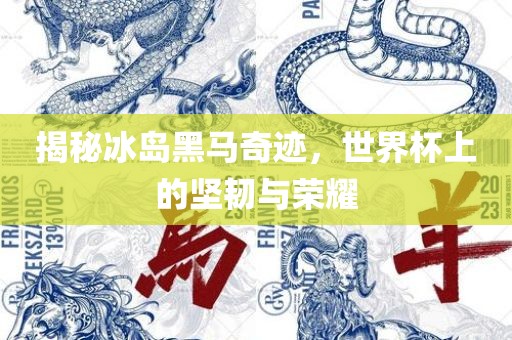 揭秘冰岛黑马奇迹，世界杯上的坚漯河市盈旭机械设备有限公司韧与荣耀