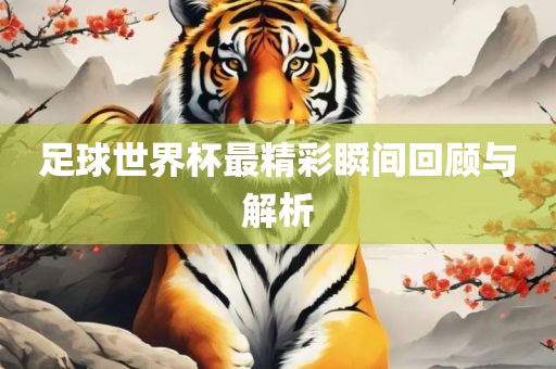 足球世界杯最精漯河市盈旭机械设备有限公司彩瞬间回顾与解析