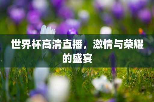 世界杯高清直播，激情与荣耀的盛宴