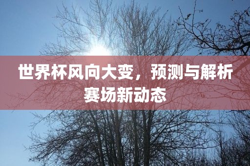 世界杯风向大变，预测与解析赛场新动态漯河市盈旭机械设备有限公司