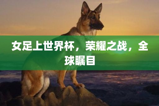 女足上世界杯，荣耀之战，全球瞩目