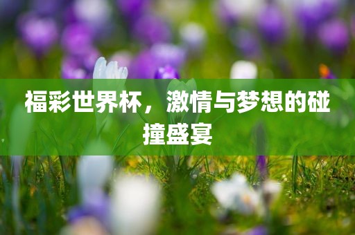福彩世界杯，激情与梦想的碰撞盛宴漯河市盈旭机械设备有限公司