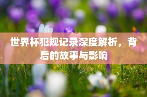 世界杯犯规记录深度解析，背后的故事与影响