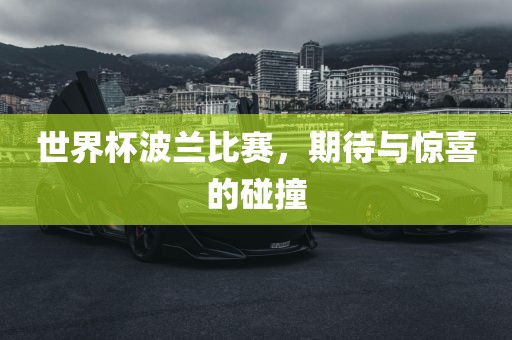 世界杯波兰比赛，期待与惊喜的碰撞