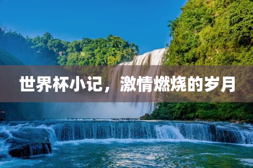 世界杯小记，激情燃烧的岁月