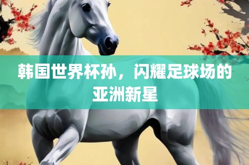 韩国世界杯孙，闪耀足球场的亚洲新星