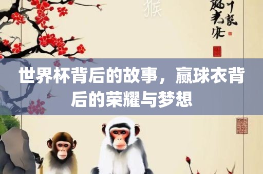 世界杯背后的故事，赢球衣背后的荣耀与梦想