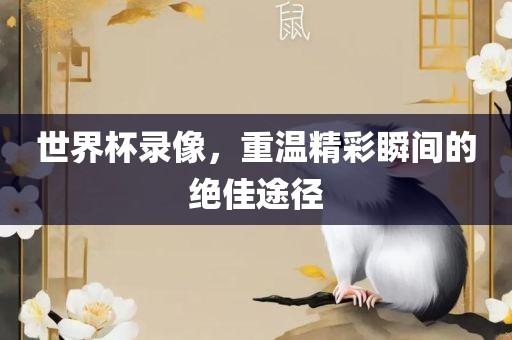 世界杯录像，重温精彩瞬间的绝佳途径