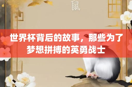 世界杯背后的故事，那些为了梦想拼搏的英勇战士漯河市盈旭机械设备有限公司