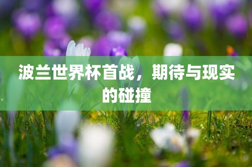 波兰世界杯首战，期待与现实的碰撞