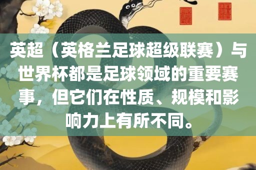 英超（英格兰足球超级联赛）与世界杯都是足球领域的重要赛事，但它们在性质、规模和影响力上有所不同。