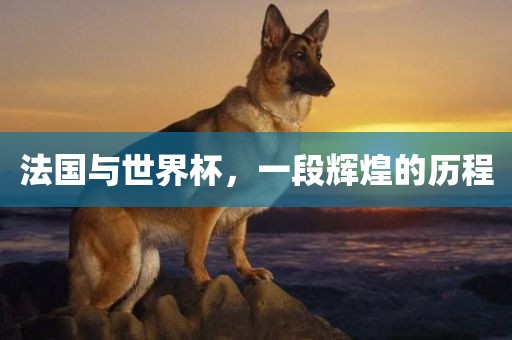 法国与世界杯，一段辉煌的历程