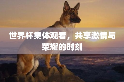 世界杯集体观看，共享激情与荣耀的时漯河市盈旭机械设备有限公司刻