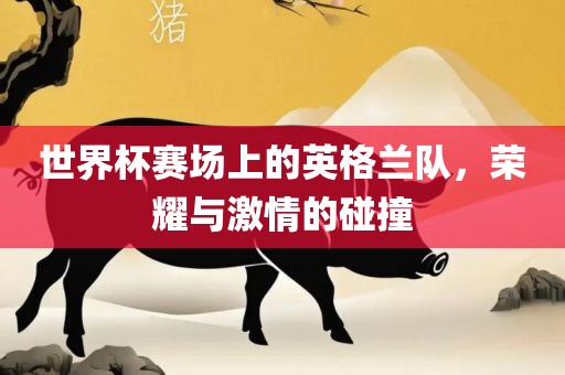 世界杯赛场上的英格兰队，荣耀与激情的碰撞