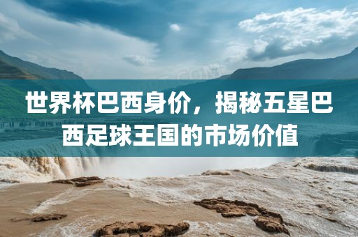 世界杯巴西身价，揭秘五星巴西足球王国的市场价值