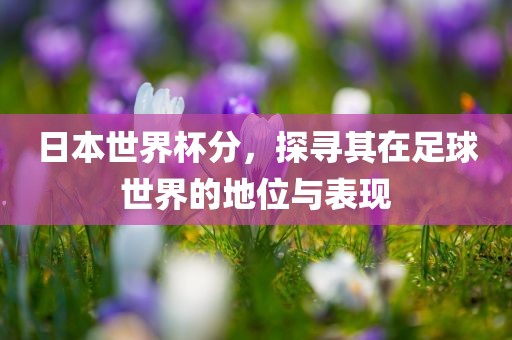 日本世界杯分，探寻其在足球世界的地位与表现
