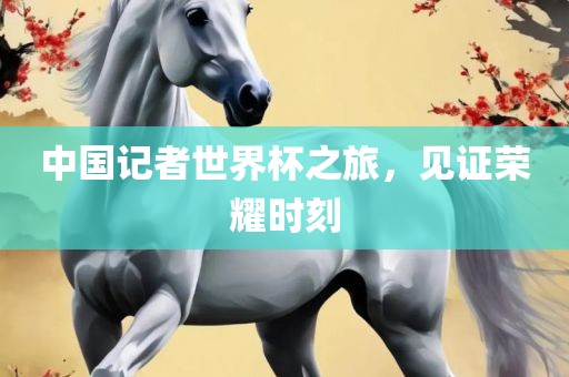 中国记者世界杯之旅，见证荣耀时刻