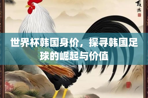 世界杯韩国身价，探寻韩国足球的崛起与价值