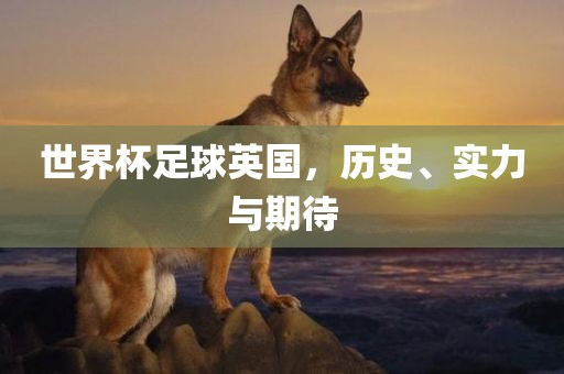 世界杯足球英国，历史、实力与期待
