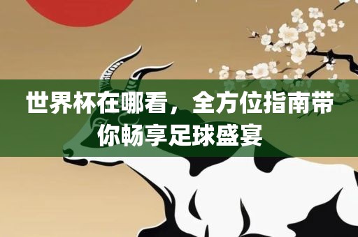 世界杯在哪看，全方位指南带你畅享足球盛宴
